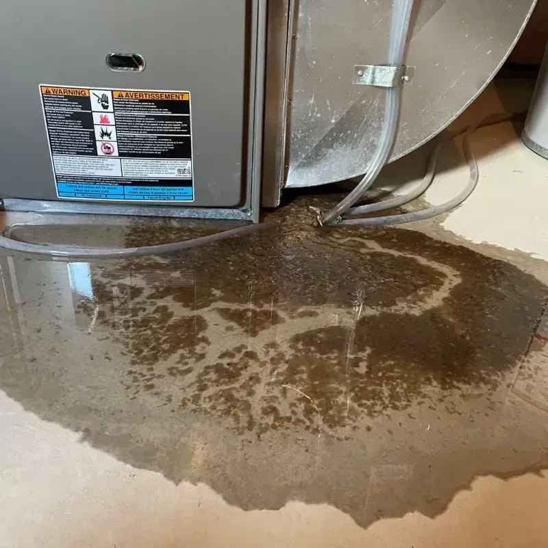 Appliance Leak Cleanup in Indianola, WA